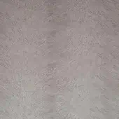 24203060 - ONICE